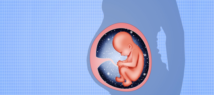 Badania przesiewowe TSH w czasie ciąży i przed planowana ciążą